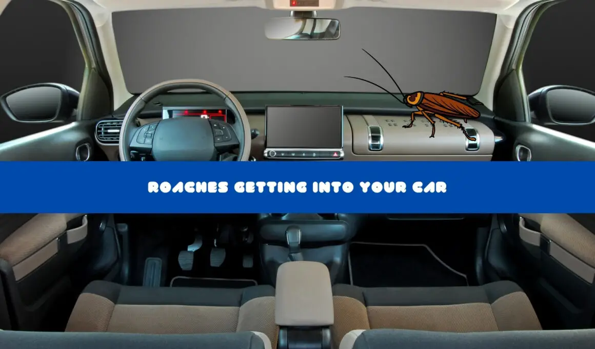 Roaches Getting Into Your Car