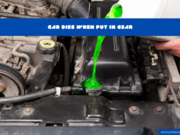 Green Fluid Leaking from Car