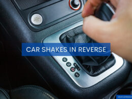 Car Shakes In Reverse
