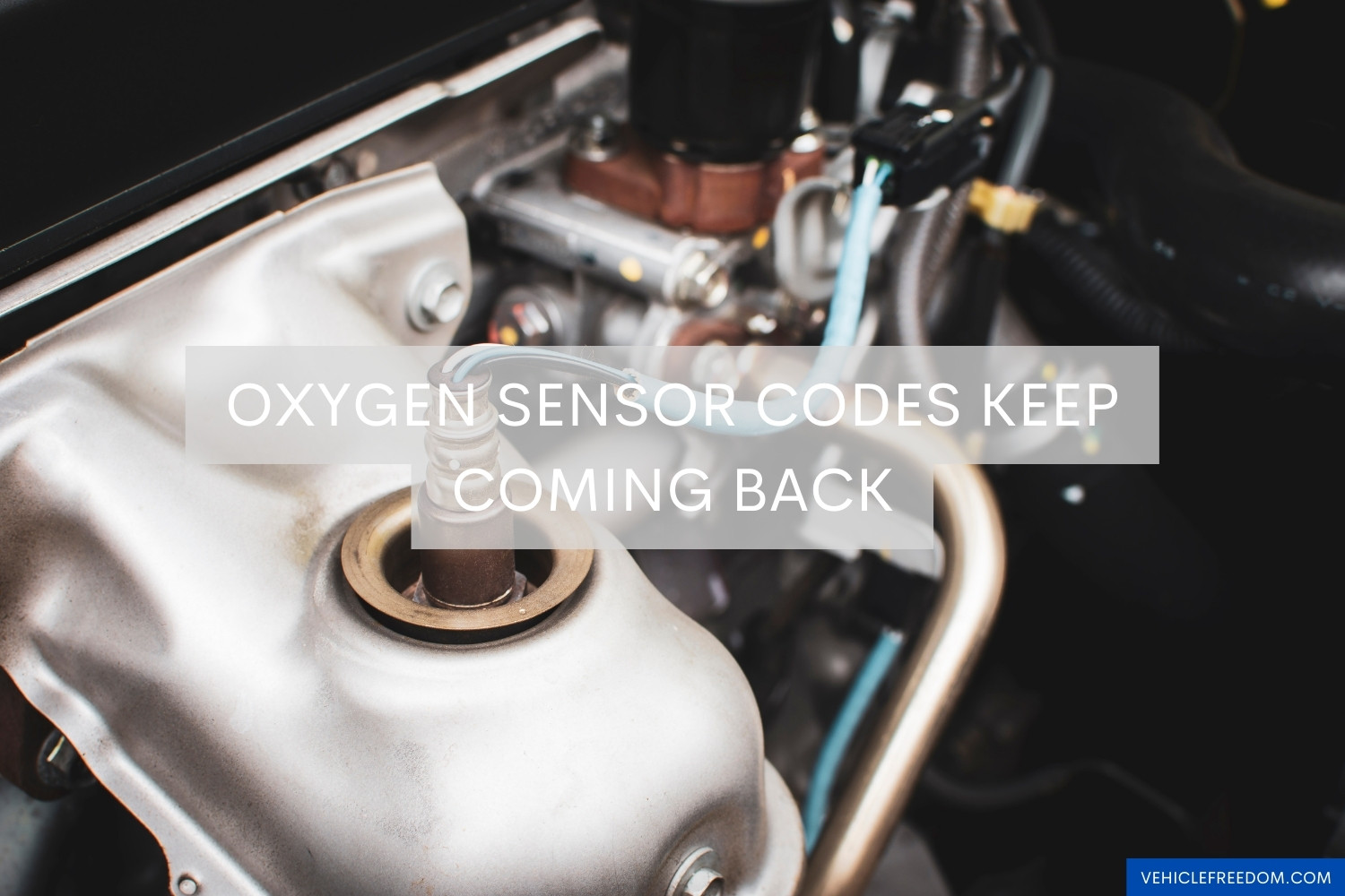 Oxygen Sensor Codes Keep Coming Back Causes and Fixes Vehicle Freedom