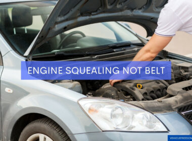 Engine Squealing Not Belt