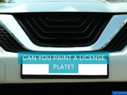 Can You Paint a License Plate