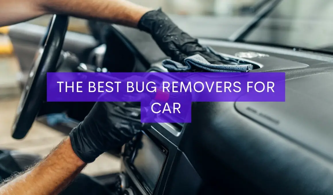 The Best Bug Removers For Cars