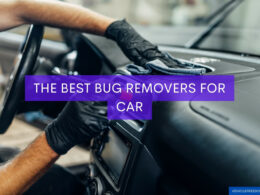 The Best Bug Removers For Cars