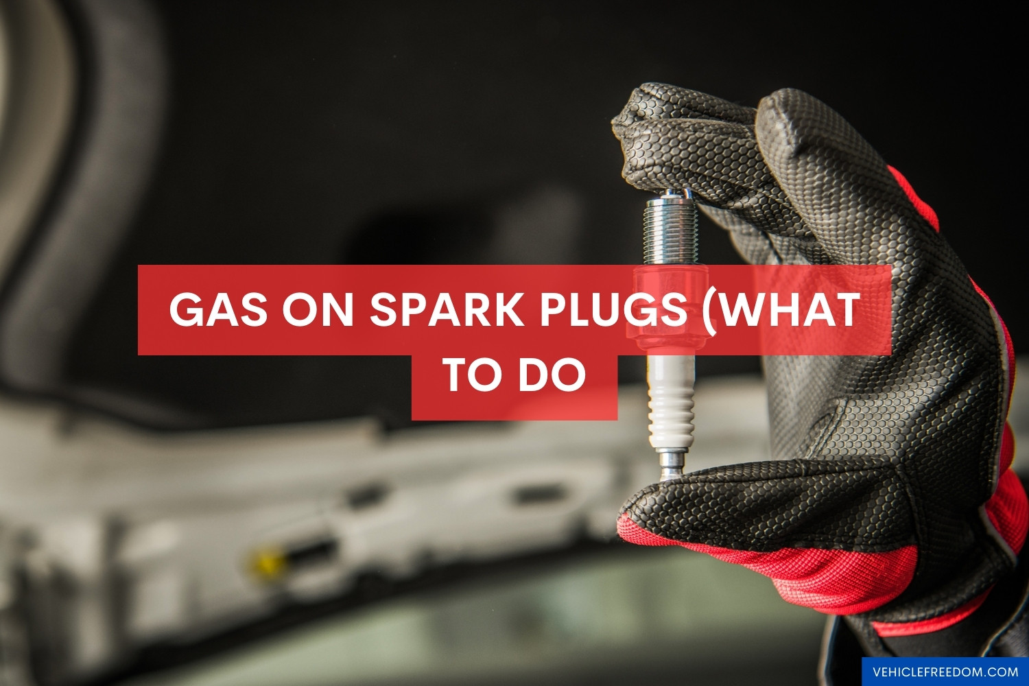 Gas On Spark Plug Causes & Fixes Vehicle Freedom