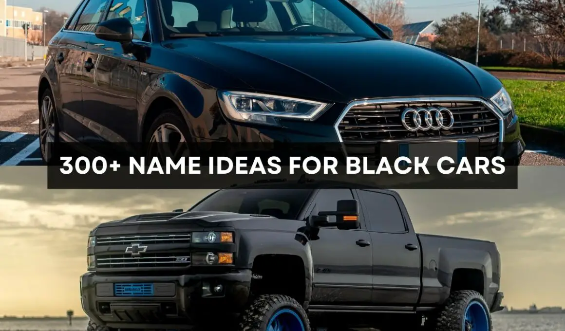 300+ Name Ideas For Black Cars