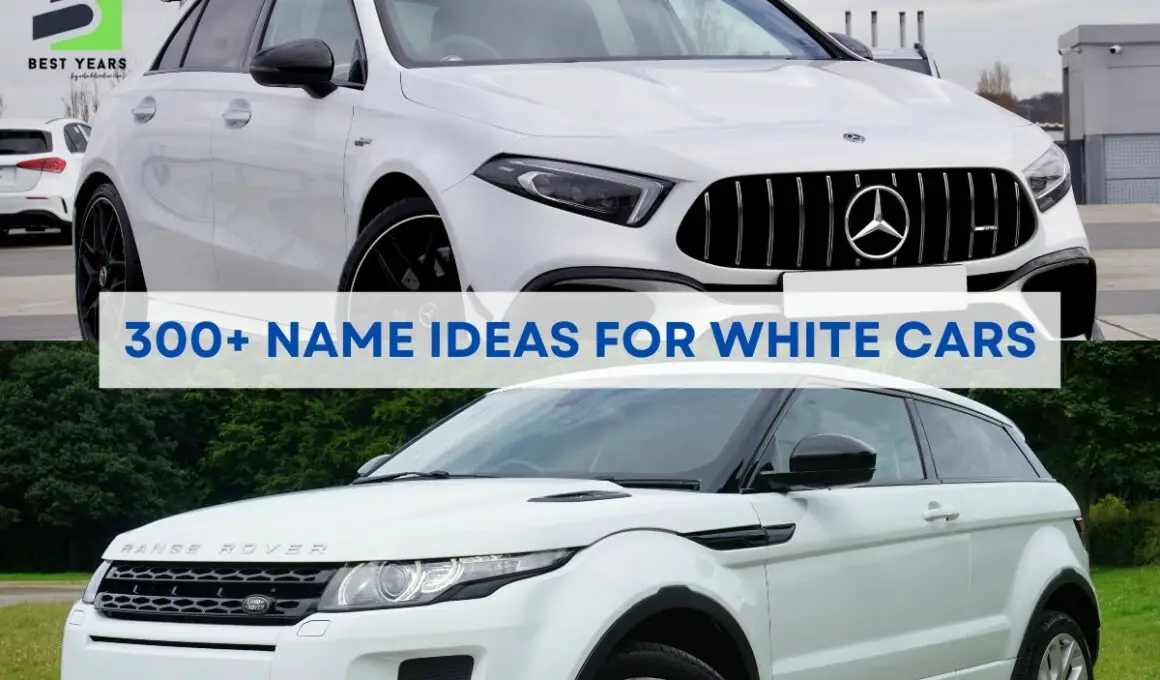 300+ Name Ideas For White Cars